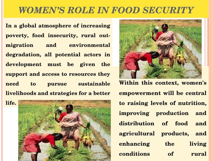Essay on food security