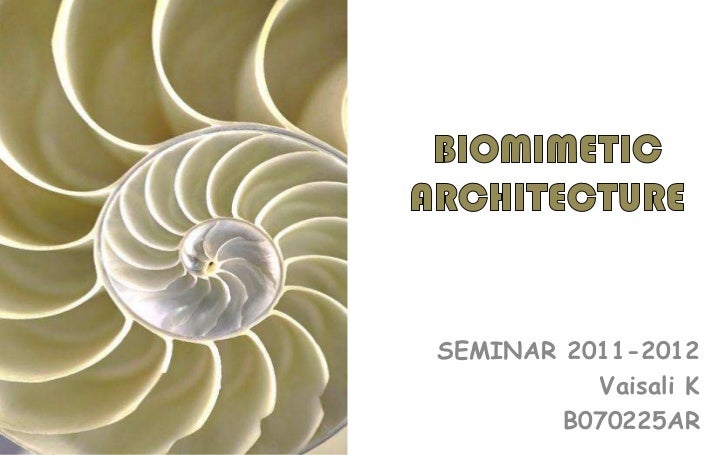 Biomimicry architecture thesis