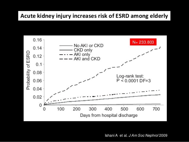 Kidney Transplant Kdigo