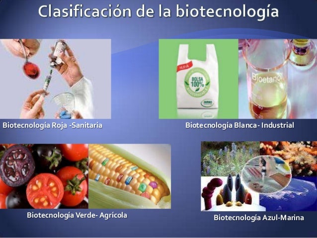 Introduccion a la Biotecnologia y sus Aplicaciones a la Medicina (Bio…