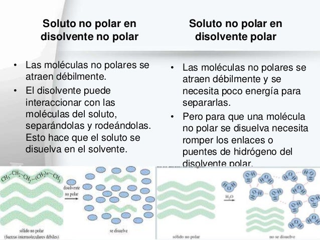Extracción