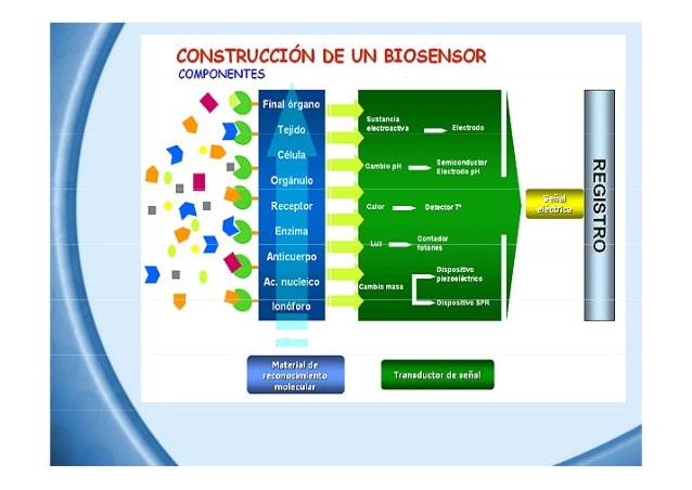 Seminario tit pot Seminario tit pot