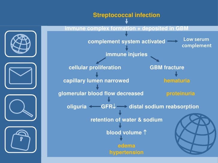 Acute Poststreptococcal Glomerulonephritis