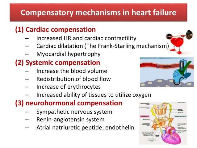heart failure in children 2015