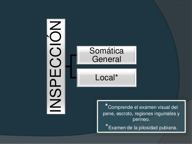Inspección.               Palpación.                                           Escroto.    Pilosidad pubiana.   ...