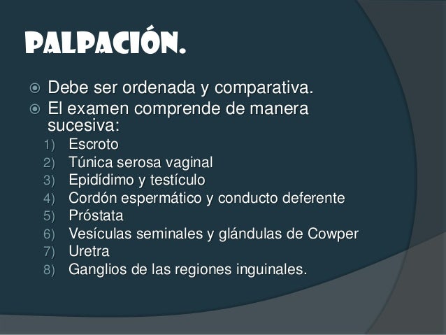 PENE. INSPECCIÓN. Glande, ambas caras del prepucio y la  uretra. Anomalías      visibles...
