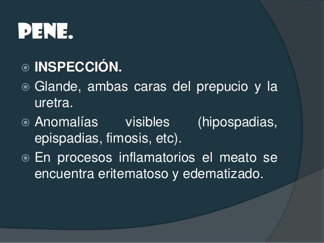 ESCROTO. INSPECCIÓN: Paciente de pie y acostado. Evaluar tamaño, consistencia, asimetr&#...