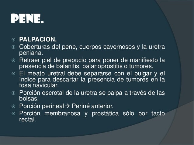 ESCROTO.   PALPACIÓN:   Normalmente no ofrece dificultad alguna para    alcanzar los órganos sit...