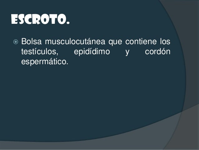 ESCROTO.   TRANSILUMINACIÓN.   Colocar una fuente de luz (linterna) en el lado    opuesto de la tumor...