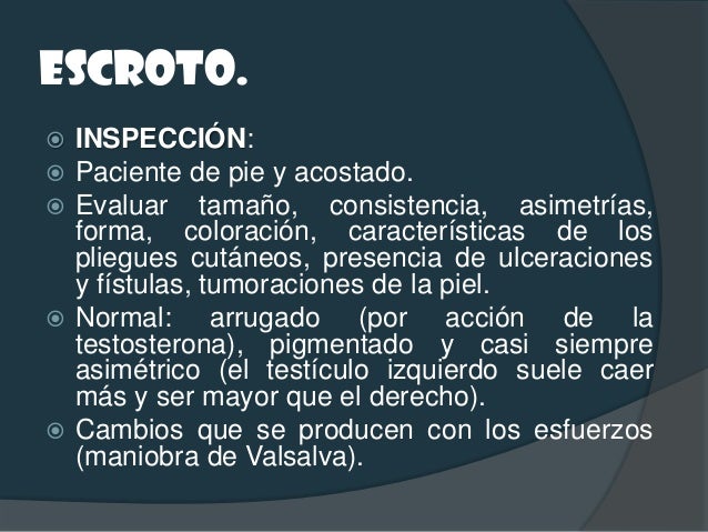 TÚNICA SEROSA VAGINAL.   PALPACIÓN.   Se toma entre los dedos índice y pulgar la parte    a...