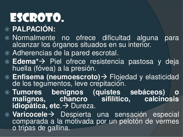 EPIDÍDIMO Y TESTÍCULO. INSPECCIÓN: Buscar anomalías de forma, tamaño y  posici&#x...