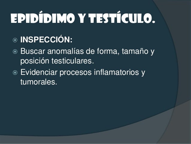 EPIDÍDIMO Y TESTÍCULO. PALPACIÓN: Comprobar si existen anomalías en la  rotación....