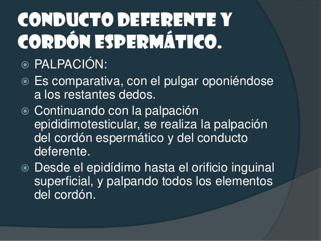 Próstata.   Prostatitis aguda: Aumento de tamaño,    blando, doloroso y elevación de su T (ºC)...