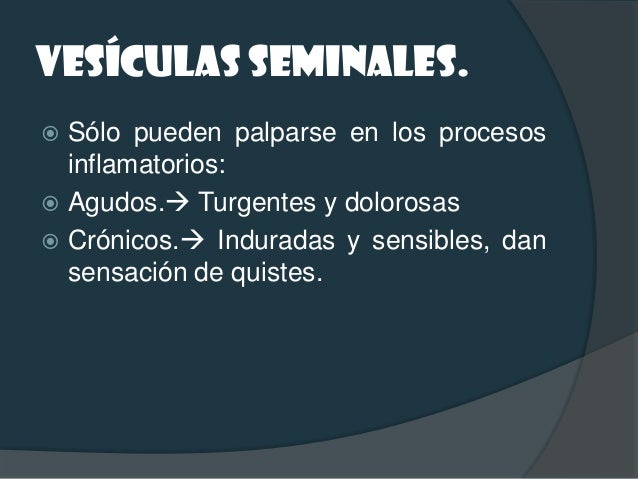 GANGLIONAR. Comienza por la zona inguinal, cuyos ganglios  recorren los linfáticos de la piel del pene y  esc...