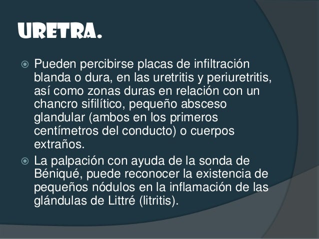 Semiología del aparato reproductor masculino