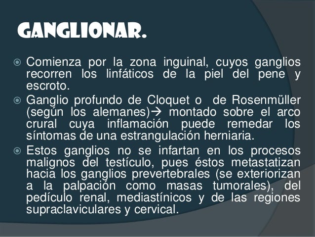 Semiología del aparato reproductor masculino