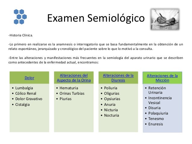 La columna vertebral el tratamiento independiente