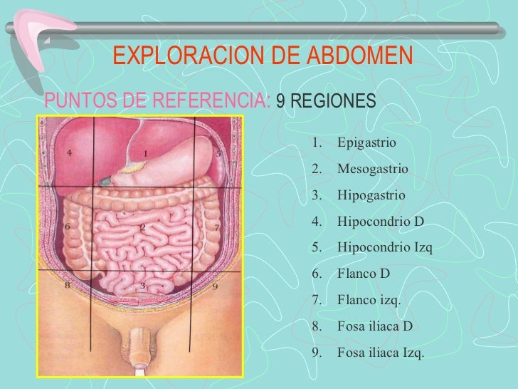 EXPLORACION DE ABDOMENPUNTOS DE REFERENCIA: 9 REGIONES                         1.   Epigastrio                         2. ...