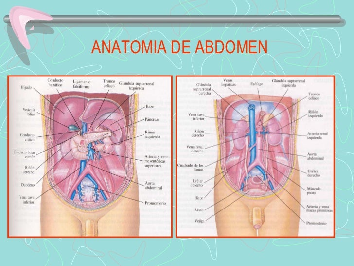 La foto elos el tratamiento del acné