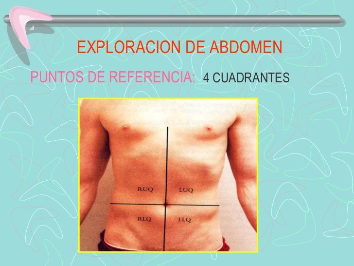 EXPLORACION DE ABDOMENPUNTOS DE REFERENCIA: 4 CUADRANTES 