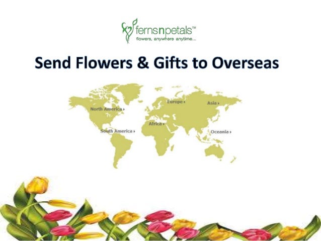 send flowers overseas - DriverLayer Search Engine send flowers overseas - DriverLayer Search Engine - 638 x 479 jpeg 52kB