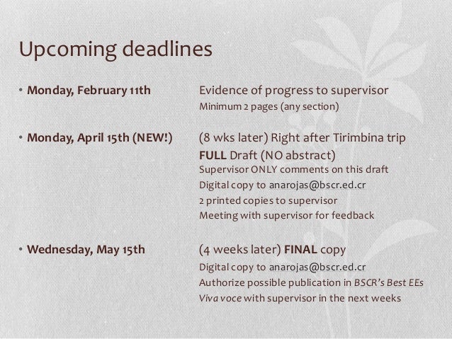 ib extended essay word count guidelines