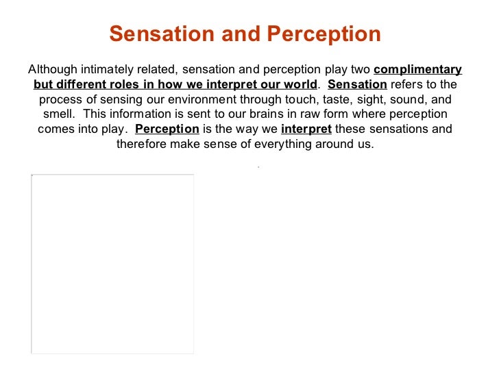 Sensory perceptions essay