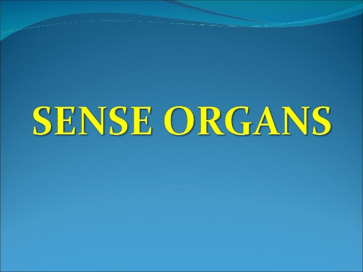 sample sales plan presentation ppt