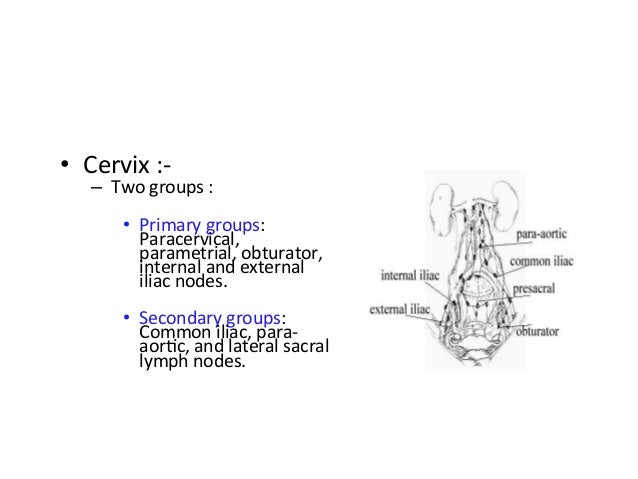 Senteneal Node 2 Senteneal Node 2