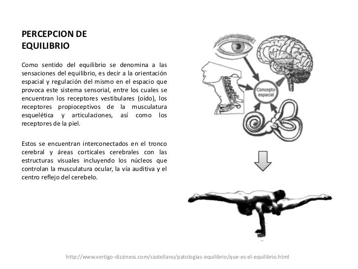 Sentido Del Equilibrio