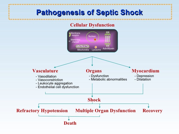 Sepsis And Septic Shock