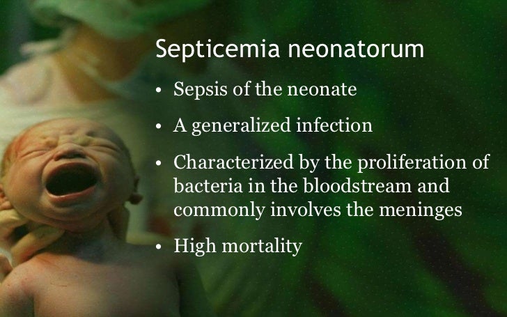 Septicemia neonatorum