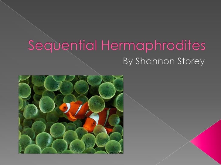 Sequential Hermaphrodites