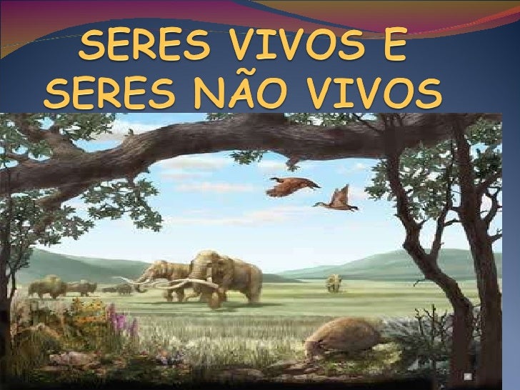 Analise As Afirmações Abaixo Referentes Aos Seres Vivos