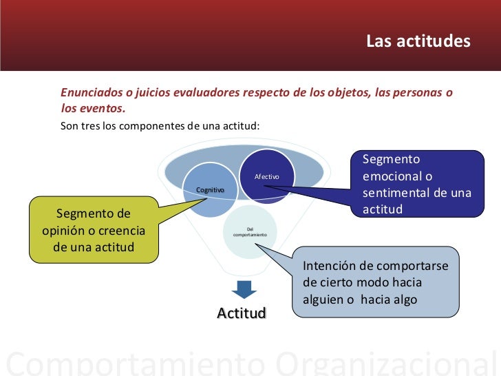 Fundamentos del comportamiento individual y la conducta humana