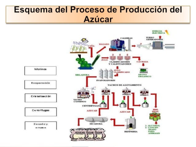 Sesion proceso de obtencion del azucar