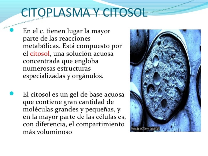 Sesion 7 biología