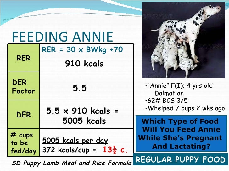 Session 3 San Ecalcs & Ls Ls