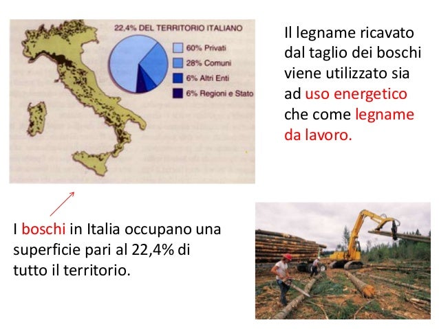 Da che un tempo su una faccia che per fare un forum
