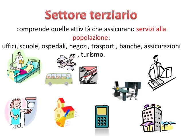 Settori economia
