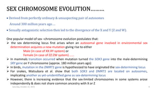 Sex Chromosomes Evolution Pptx