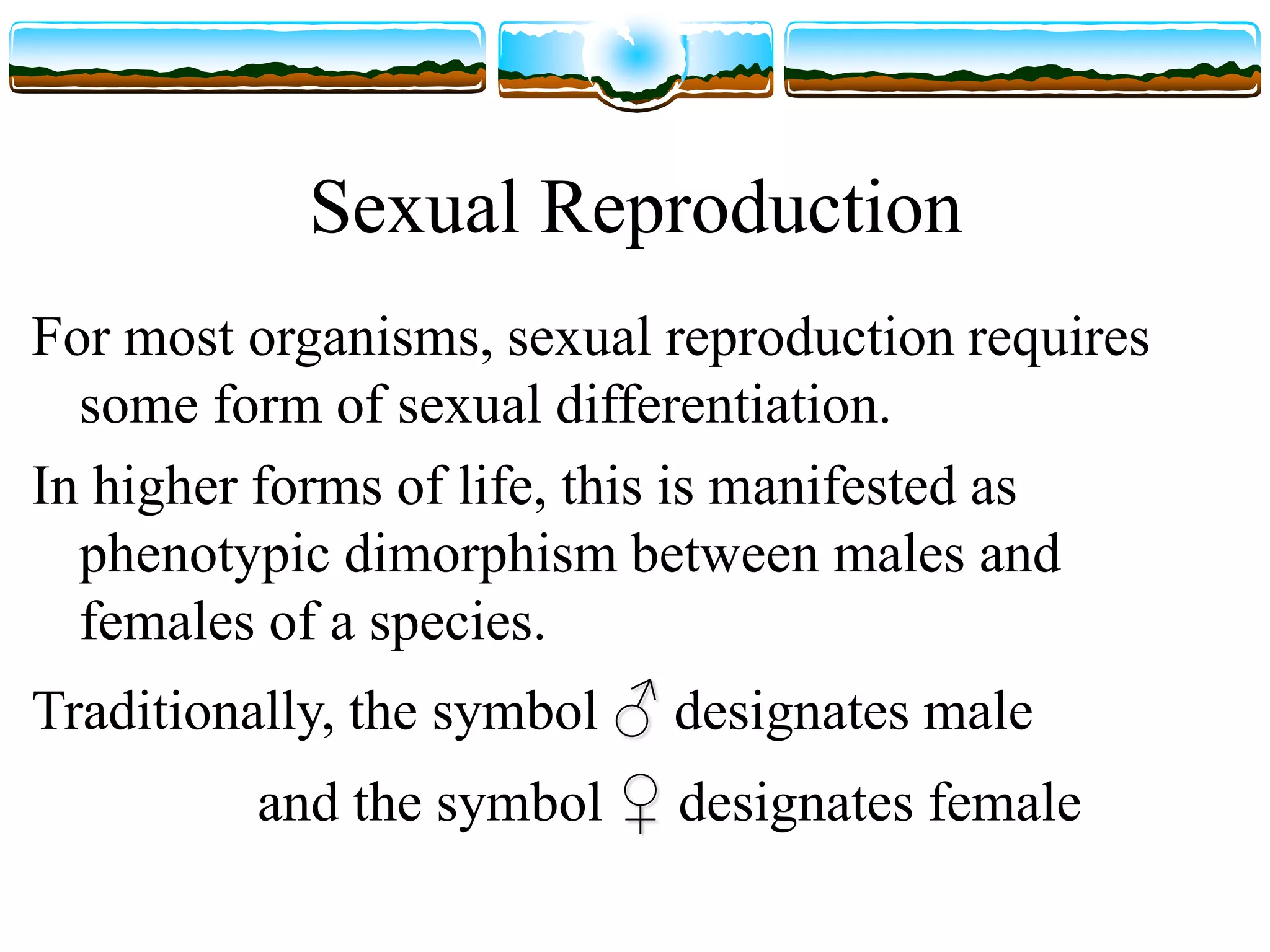Sex Determination Ppt