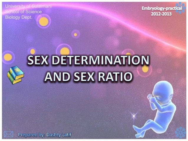 University Sex Ratio 97