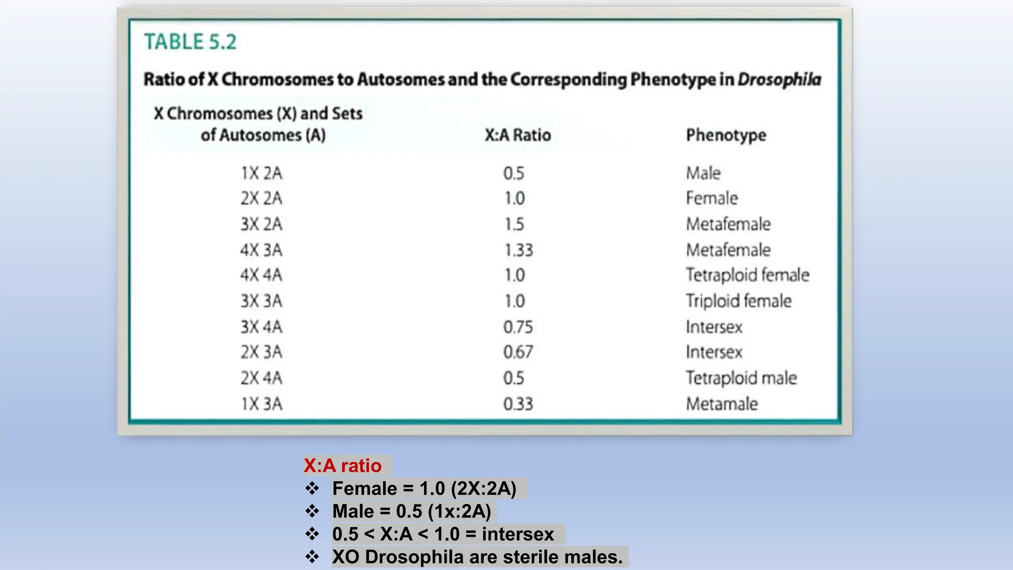 Molecular Mechanism Of Sex Determination In Drosophila Pptx