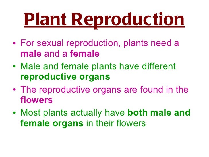 Sexual reproduction in_plants powerpoint