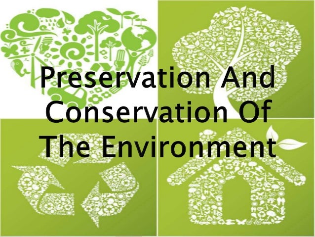 environment protection and conservation of ecosystem essay