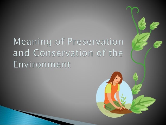 Conservation Of Environment Essay