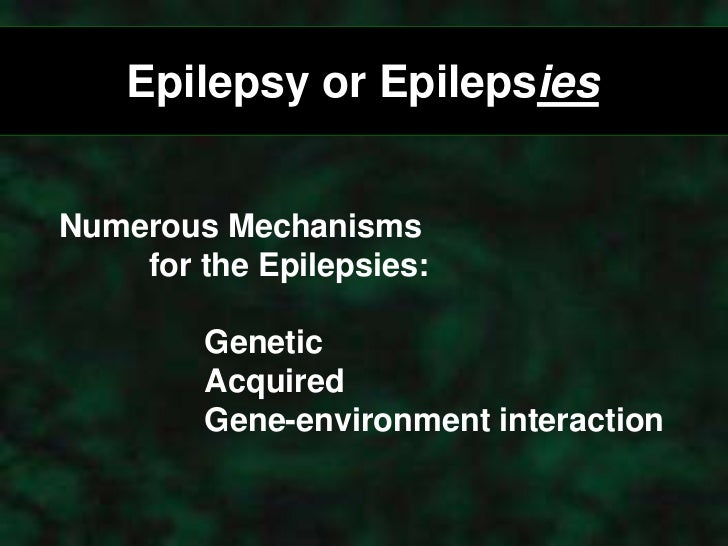 dissertation status epilepticus