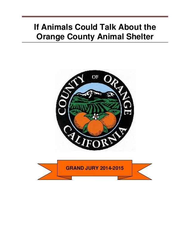 orange county pound if animals could talk about the orange county animal shelter orange county pound if animals could talk about the orange county animal shelter