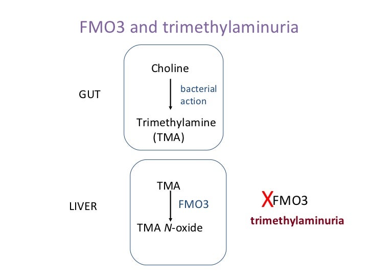 Shephard/Phillips TMAU webinar 09/12
